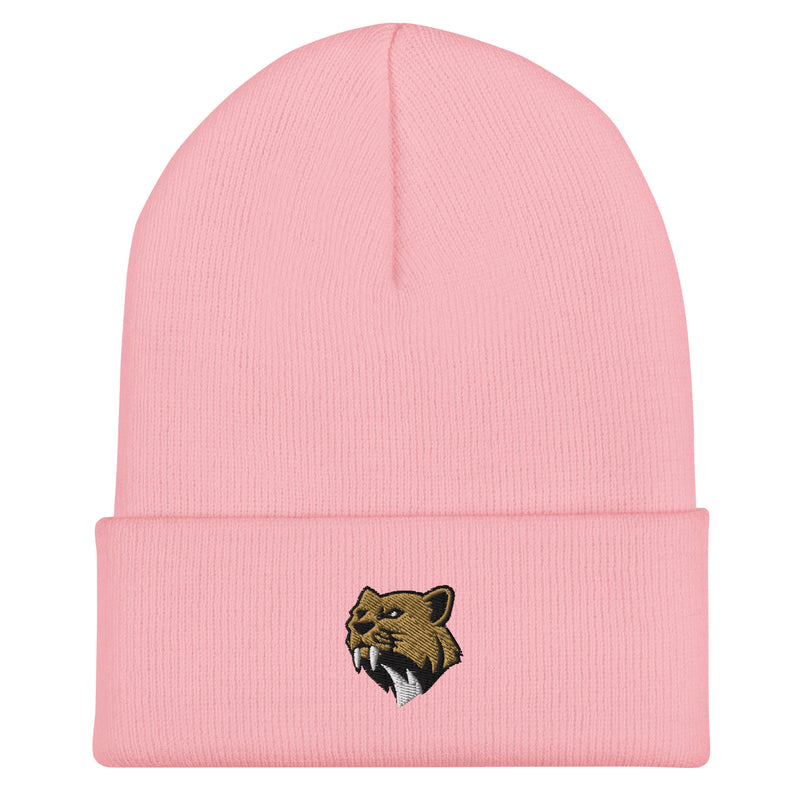 San Diego Sabers Embroidered Cuffed Beanie